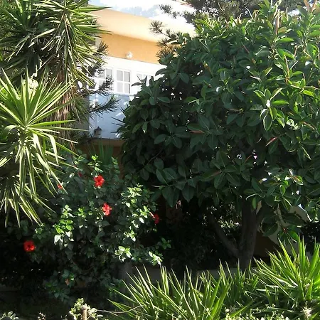 Apartment Corina